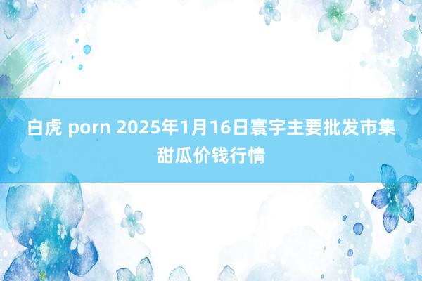 白虎 porn 2025年1月16日寰宇主要批发市集甜瓜价钱行情